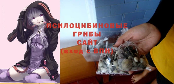 PSILOCYBIN Горнозаводск