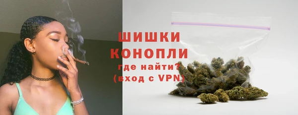 PSILOCYBIN Горнозаводск