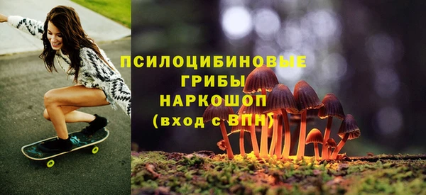 спайс Горняк