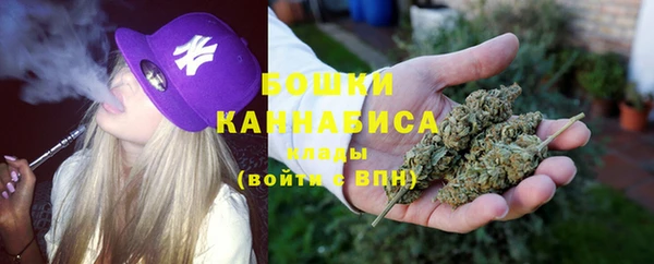 PSILOCYBIN Горнозаводск