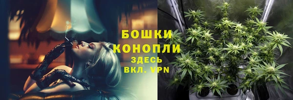 спайс Горняк