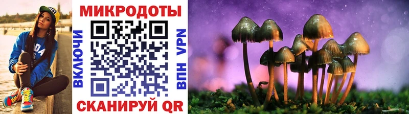 Купить  Кяхта  Галлюциногенные грибы Psilocybe 