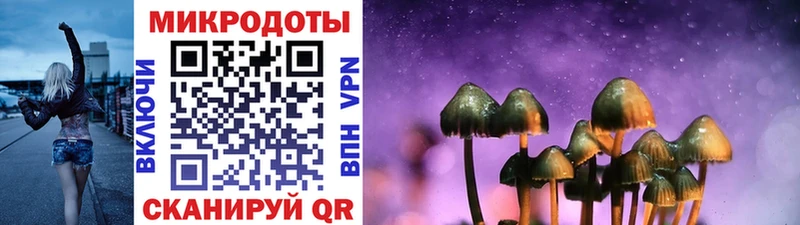 Галлюциногенные грибы Psilocybine cubensis Кяхта